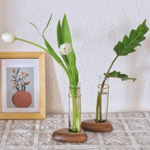 Stem Vases for Flowers or Propogation